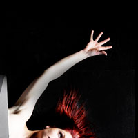 Showcase Image 3